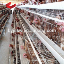 Cage de poulet de couche pour le plan de logement de poulet (5000 oiseaux, 10000 oiseaux, 20000 oiseaux)